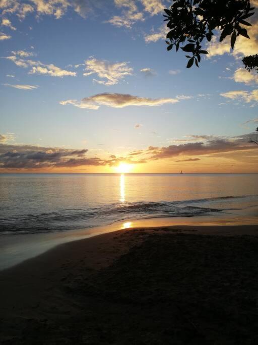 Ti' Papaye Anse A L'Ane Apartamento Les Trois-Ilets Exterior foto